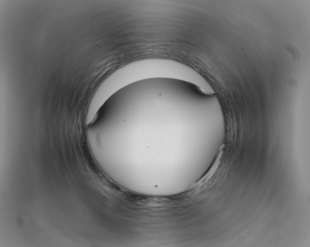 X0000112070128200909011031