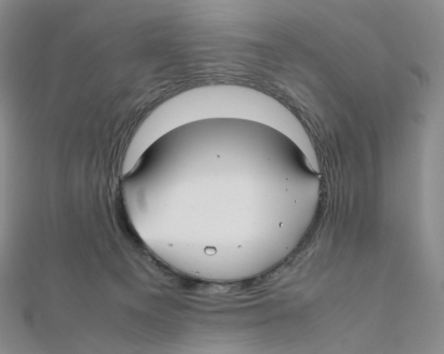 X0000112070129200909011031