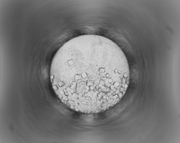 X0000112070131200909011031
