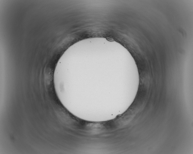X0000112070133200909011031