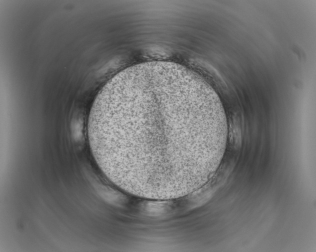 X0000112070134200909011031