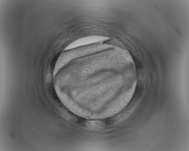 X0000112070137200909011030