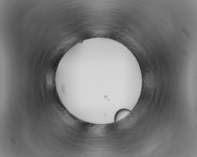 X0000112070138200909011030