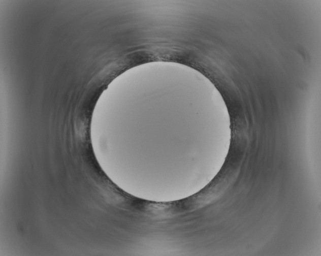 X0000112070139200909011030