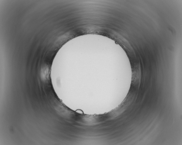 X0000112070142200909011030