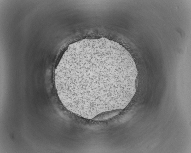 X0000112070144200909011030