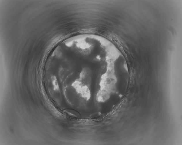 X0000112070145200909011030