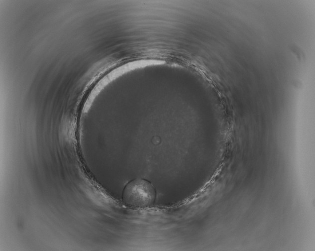 X0000112070146200909011030