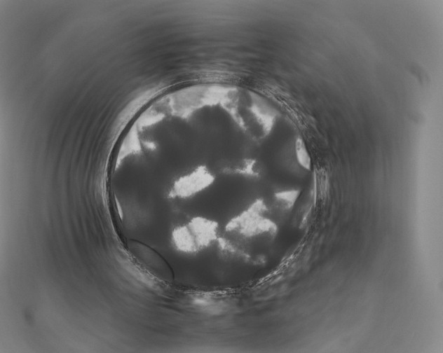 X0000112070147200909011030