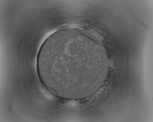 X0000112070148200909011030
