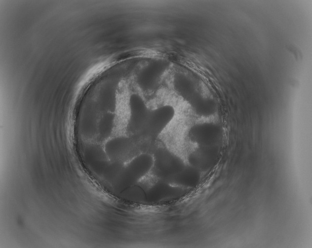 X0000112070149200909011030