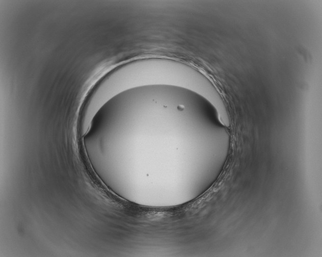X0000112070152200909011030