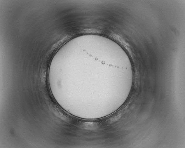 X0000112070153200909011030