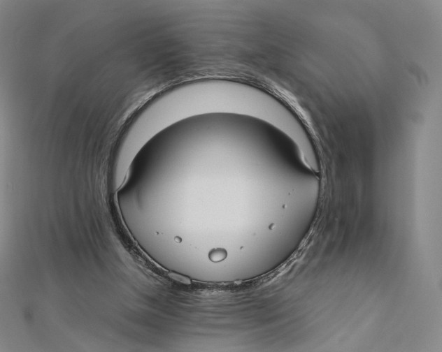 X0000112070154200909011030
