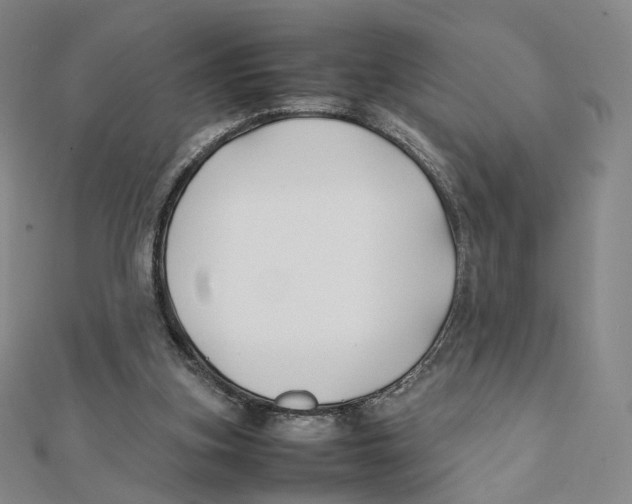 X0000112070155200909011030