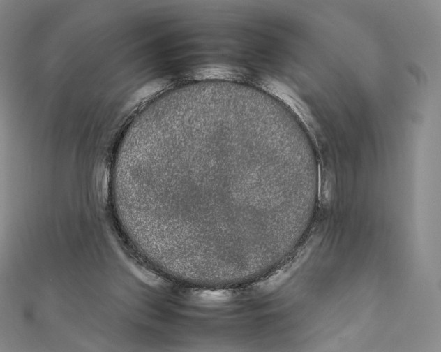 X0000112070157200909011030