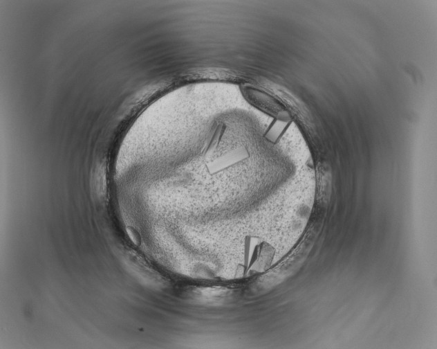 X0000112070158200909011030