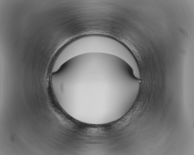 X0000112070160200909011030