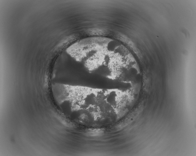 X0000112070161200909011030