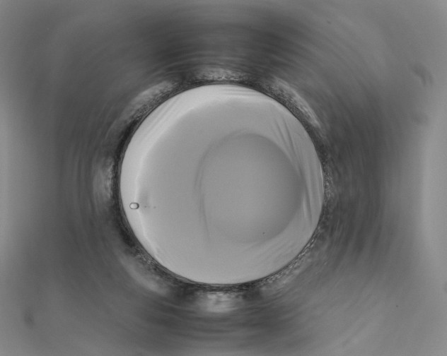 X0000112070163200909011030