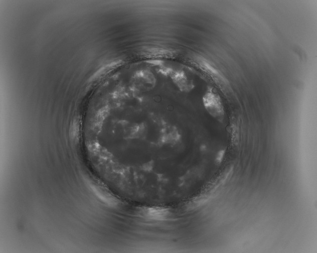 X0000112070165200909011030