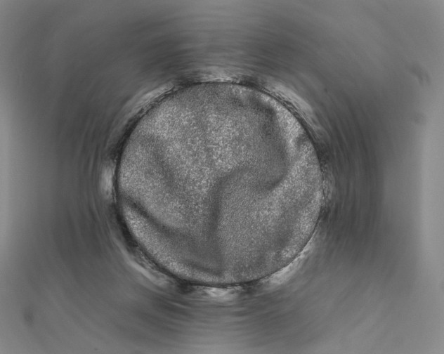 X0000112070166200909011030
