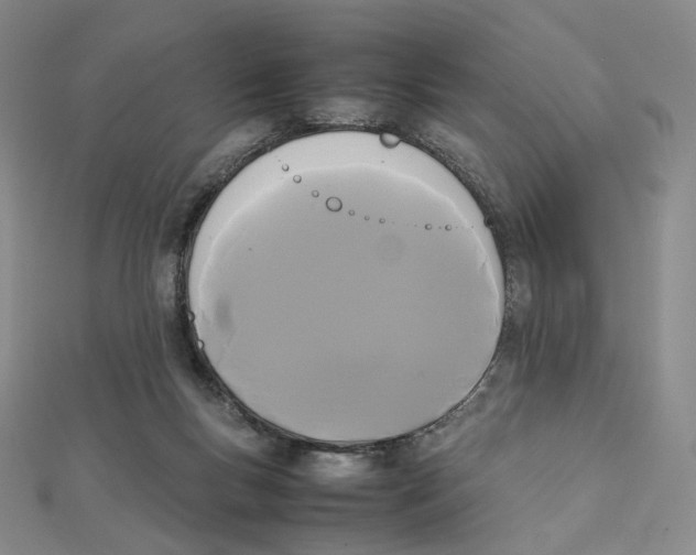 X0000112070167200909011030