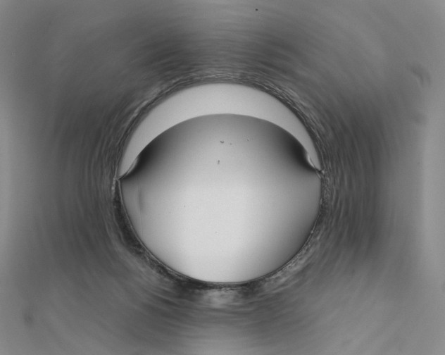 X0000112070168200909011030