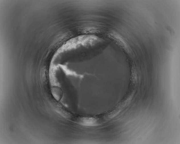 X0000112070169200909011030