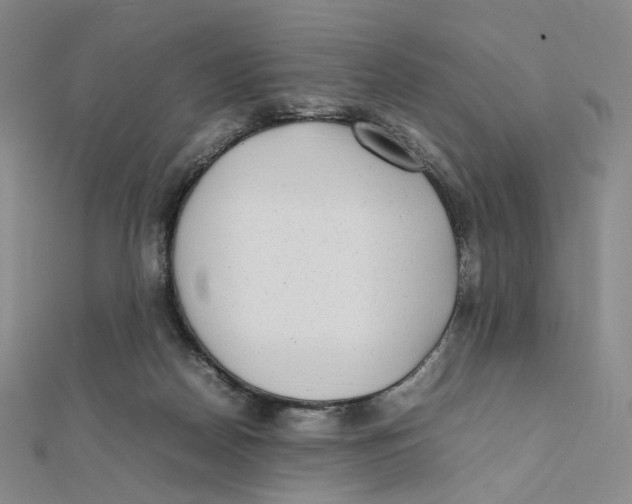 X0000112070170200909011030