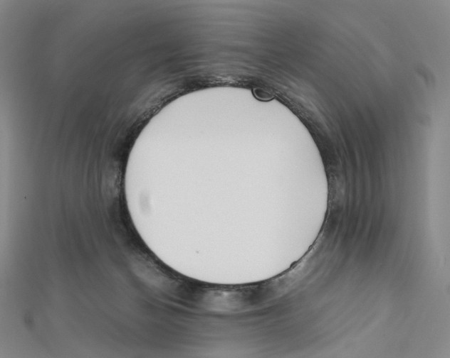 X0000112070174200909011030