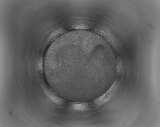 X0000112070175200909011030