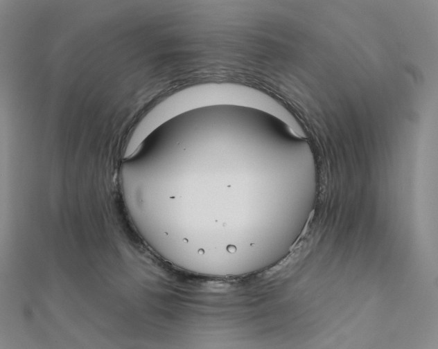 X0000112070176200909011030