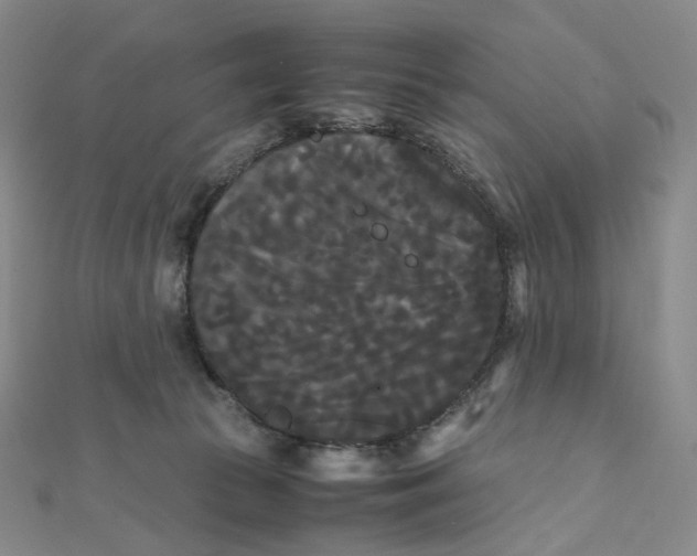 X0000112070177200909011030