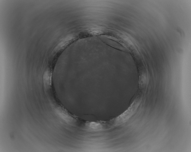 X0000112070180200909011030