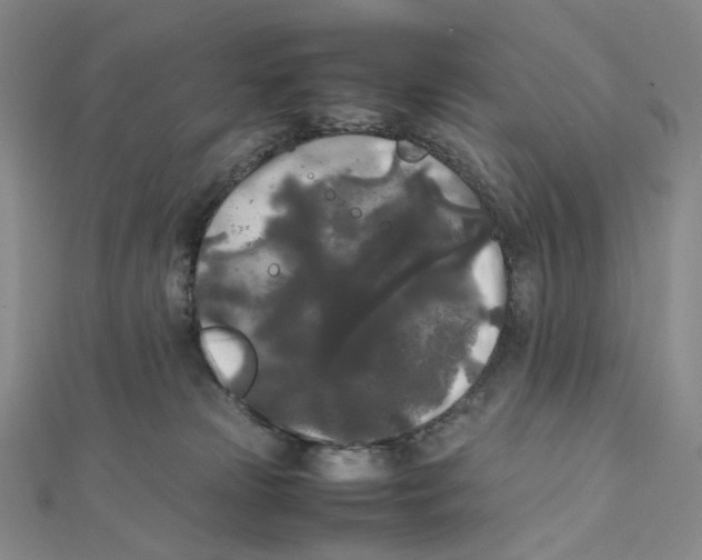 X0000112070181200909011030