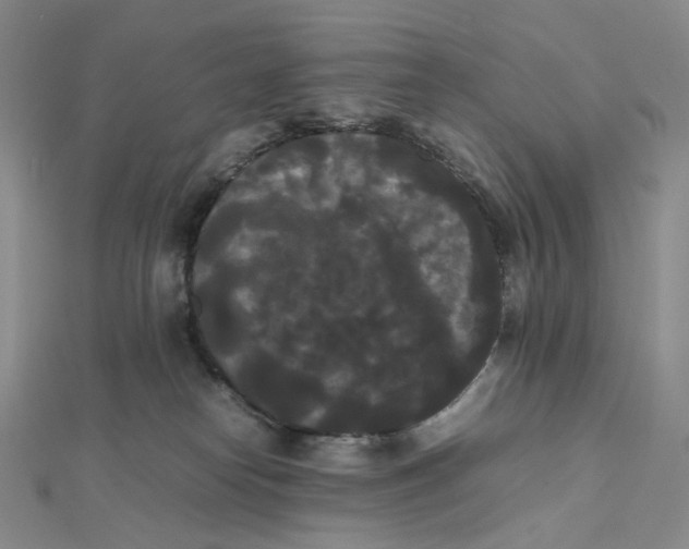 X0000112070182200909011030