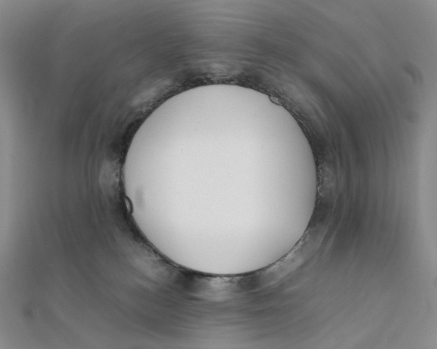 X0000112070184200909011030