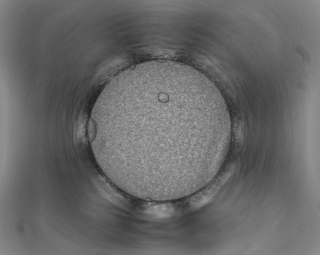 X0000112070185200909011030