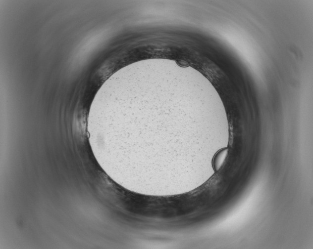 X0000112070190200909011030