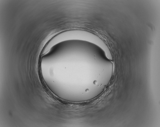 X0000112070195200909011030