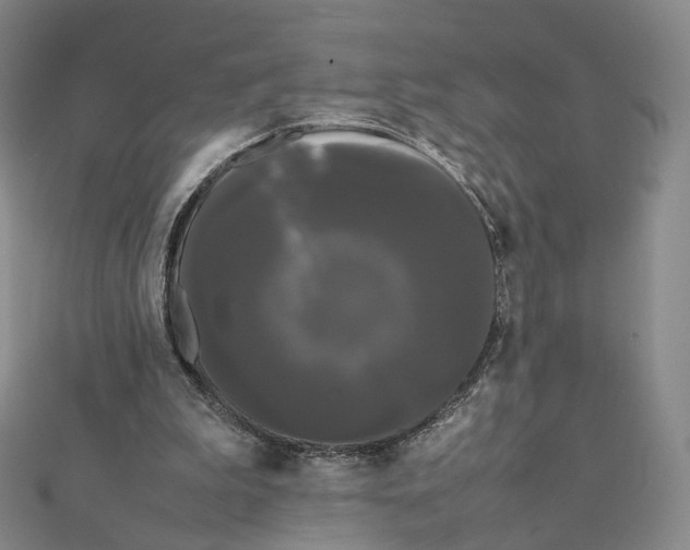 X0000112070199200909011030