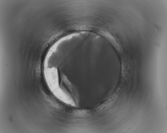 X0000112070202200909011030