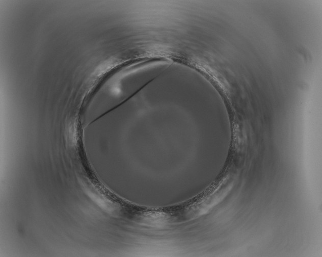 X0000112070203200909011030
