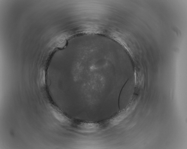 X0000112070205200909011030