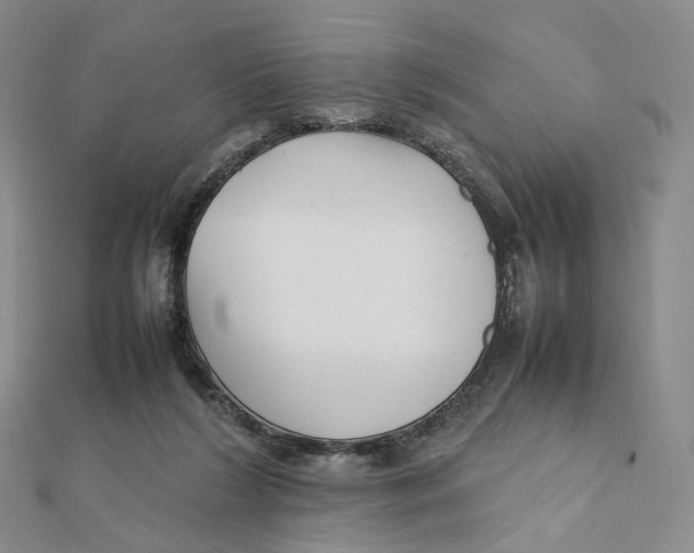 X0000112070212200909011030