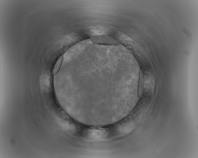 X0000112070215200909011029