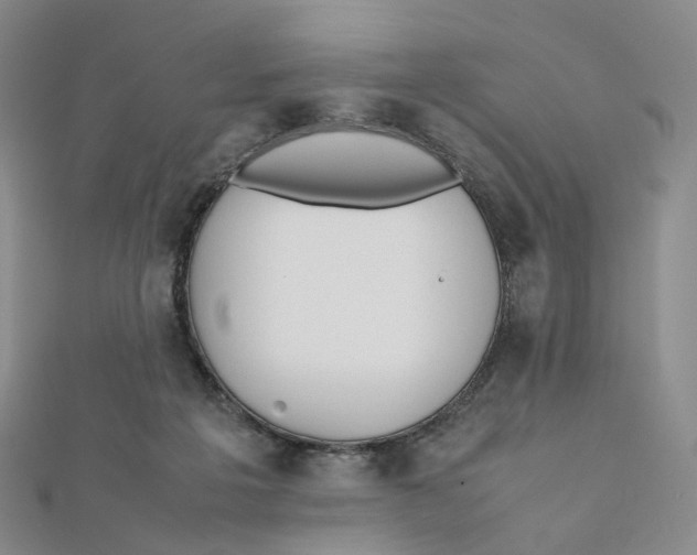X0000112070217200909011029