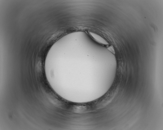 X0000112070220200909011029