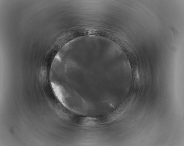 X0000112070222200909011029